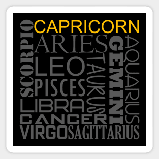 Capricorn Zodiac Montage Sticker